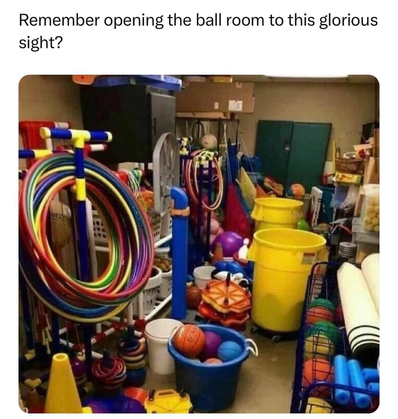 funny pics Remember opening the ball room to this glorious sight?