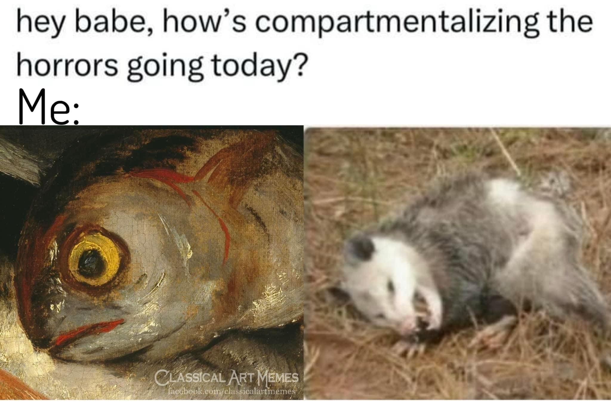 funny pics hey babe, how's compartmentalizing the horrors going today? Me: