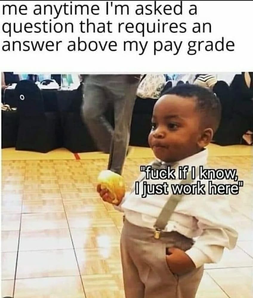 funny memes me anytime I'm asked a question that requires an answer above my pay grade