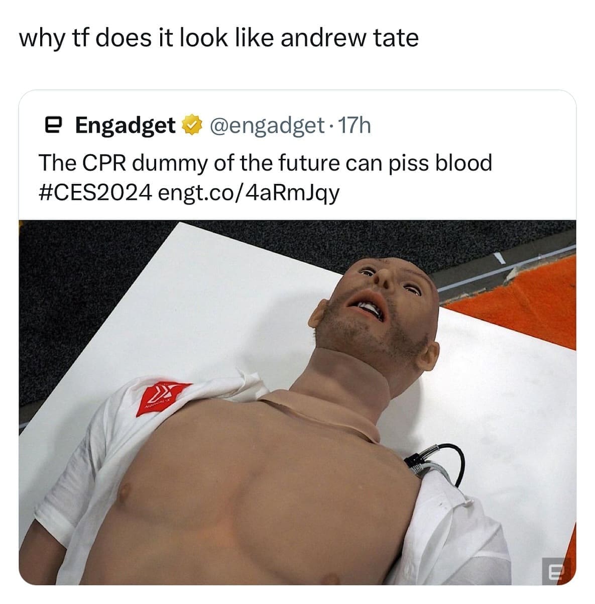 funny pics why tf does it look like Andrew tate. The CPR dummy of the future can