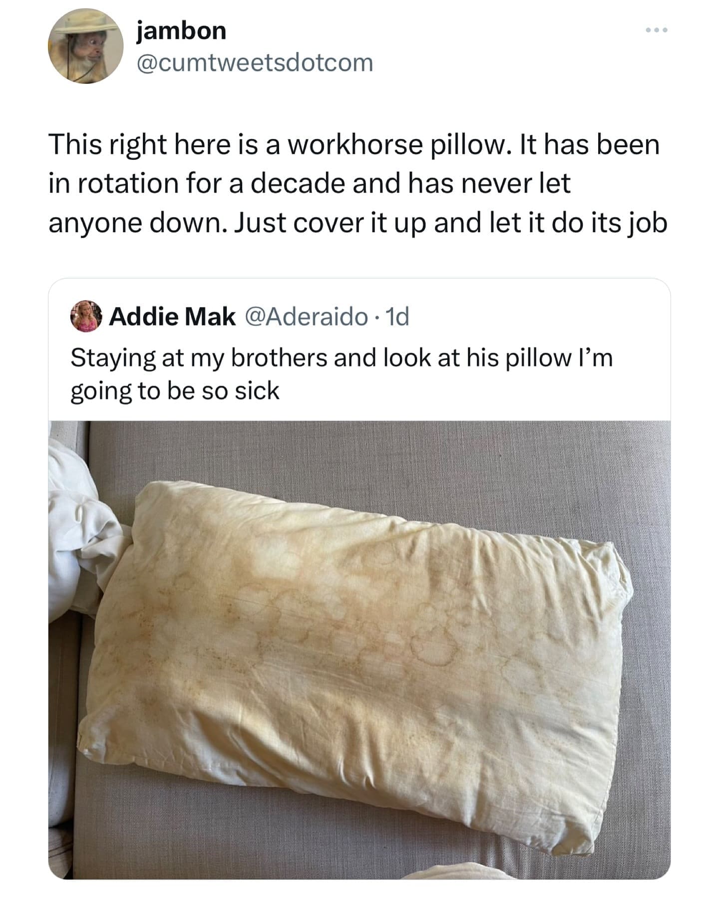 This right here is a workhorse pillow. It has been in rotation for a decade and has never let anyone down. Just cover it up and let it do its job