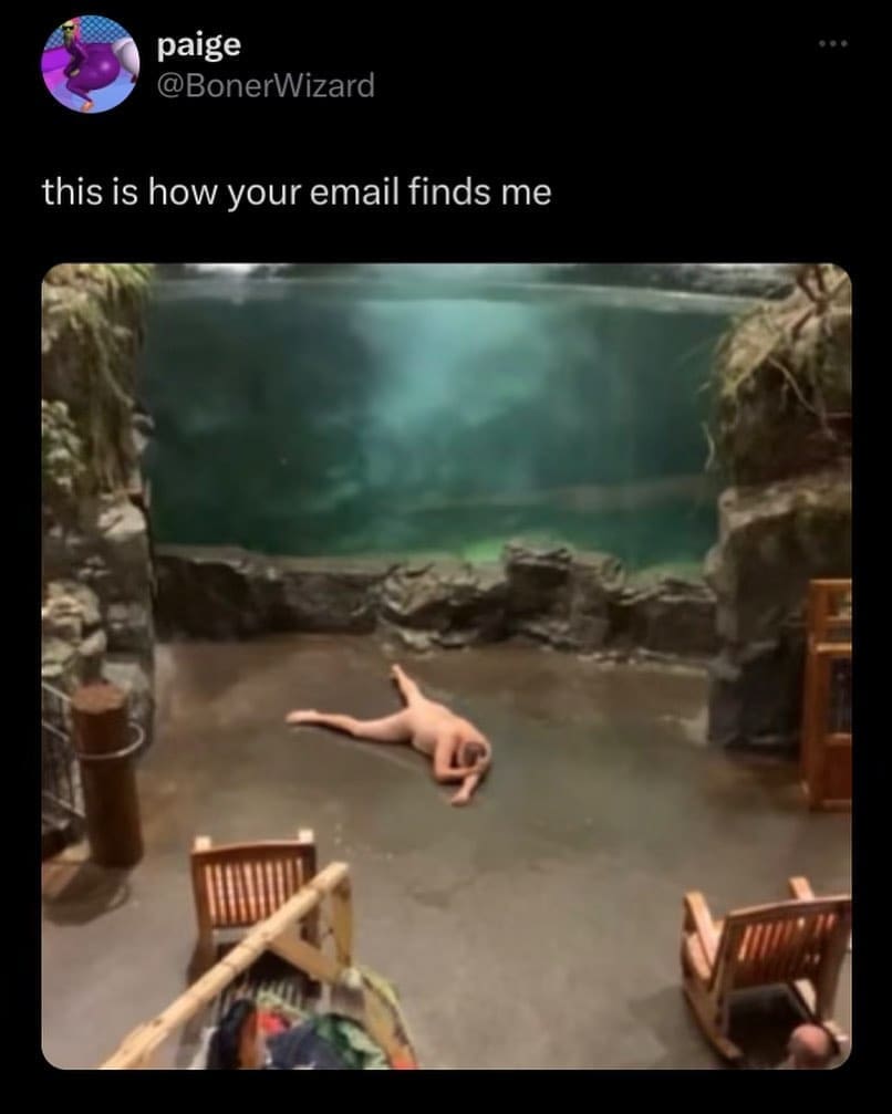 funny pics this is how your email finds me