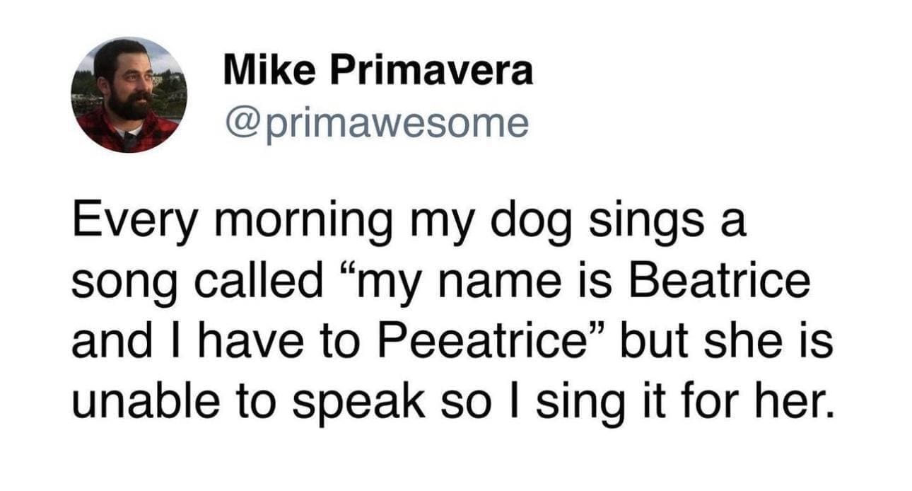 funny pics Every morning my dog sings a song called "my name is Beatrice and I have to Peeatrice" but she is unable to speak so l sing it for her.