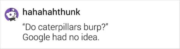 "Do caterpillars burp?" Google had no idea.