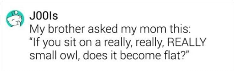 My brother asked my mom this: "If you sit on a really, really, REALLY small owl, does it become flat?"