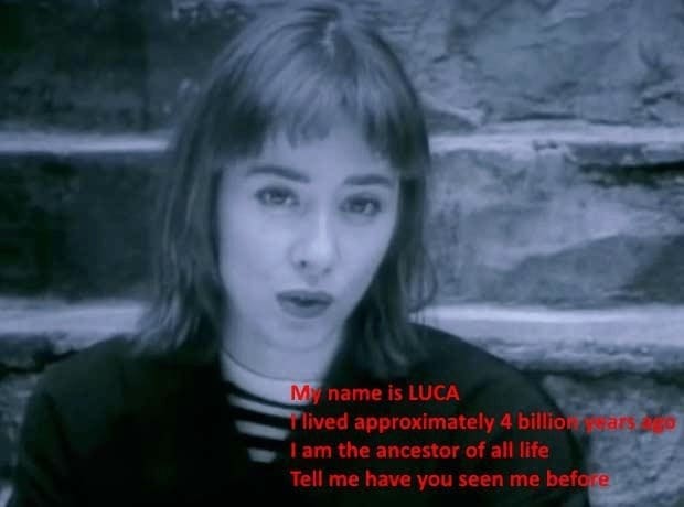 Science memes My name is LUCA lived approximately 4 billion ars ado I am the ancestor of all life Tell me have you seen me before