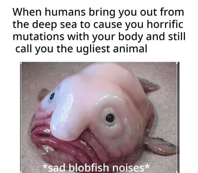 Science memes When humans bring you out from the deep sea to cause you horrific mutations with your body and still call you the ugliest animal *sad blobfish noises*
