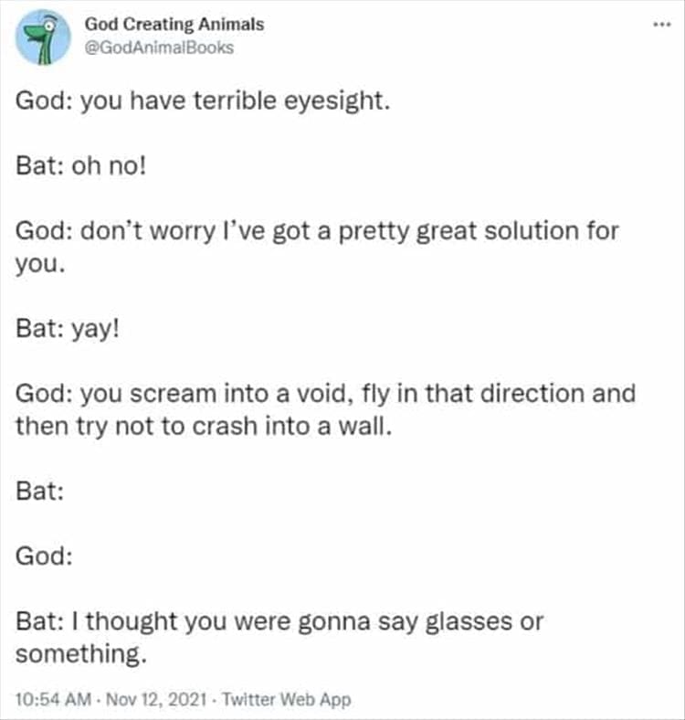 God Creating Animals God: you have terrible eyesight. Bat: oh no! God: don't worry l've got a pretty great solution for you. Bat: yay! God: you scream into a void, fly in that direction and then try not to crash into a wall. Bat: God: Bat: I thought you were gonna say glasses or something.