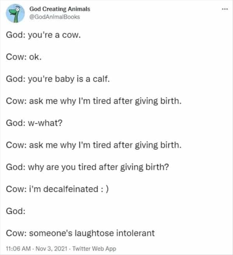 God Creating Animals God: you're a cow. Cow: ok. God: you're baby is a calf. Cow: ask me why I'm tired after giving birth. God: w-what? Cow: ask me why I'm tired after giving birth. God: why are you tired after giving birth? Cow: i'm decalfeinated: God: Cow: someone's laughtose intolerant