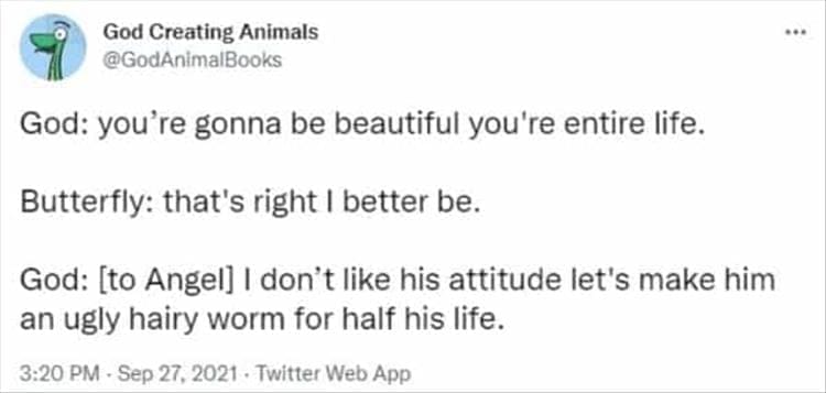 God Creating Animals God: you're gonna be beautiful you're entire life. Butterfly: that's right I better be. God: [to Angel] | don't like his attitude let's make him an ugly hairy worm for half his life.