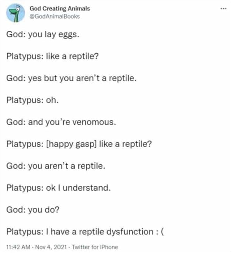 God Creating Animals God: you lay eggs. Platypus: like a reptile? God: yes but you aren't a reptile. Platypus: oh. God: and you're venomous. Platypus: [happy gasp] like a reptile? God: you aren't a reptile. Platypus: ok I understand. God: you do? Platypus: I have a reptile dysfunction: