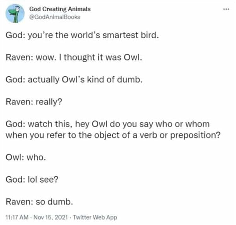 God Creating Animals God: you're the world's smartest bird. Raven: wow. I thought it was Owl. God: actually Owl's kind of dumb. Raven: really? God: watch this, hey Owl do you say who or whom when you refer to the object of a verb or preposition? Owl: who. God: lol see? Raven: so dumb.
