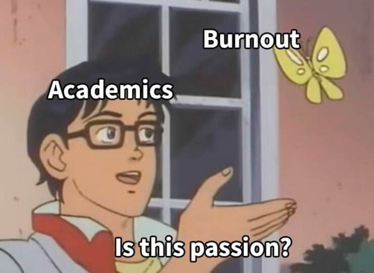 grad school memes