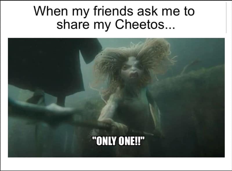 harry potter memes, wizarding world humor