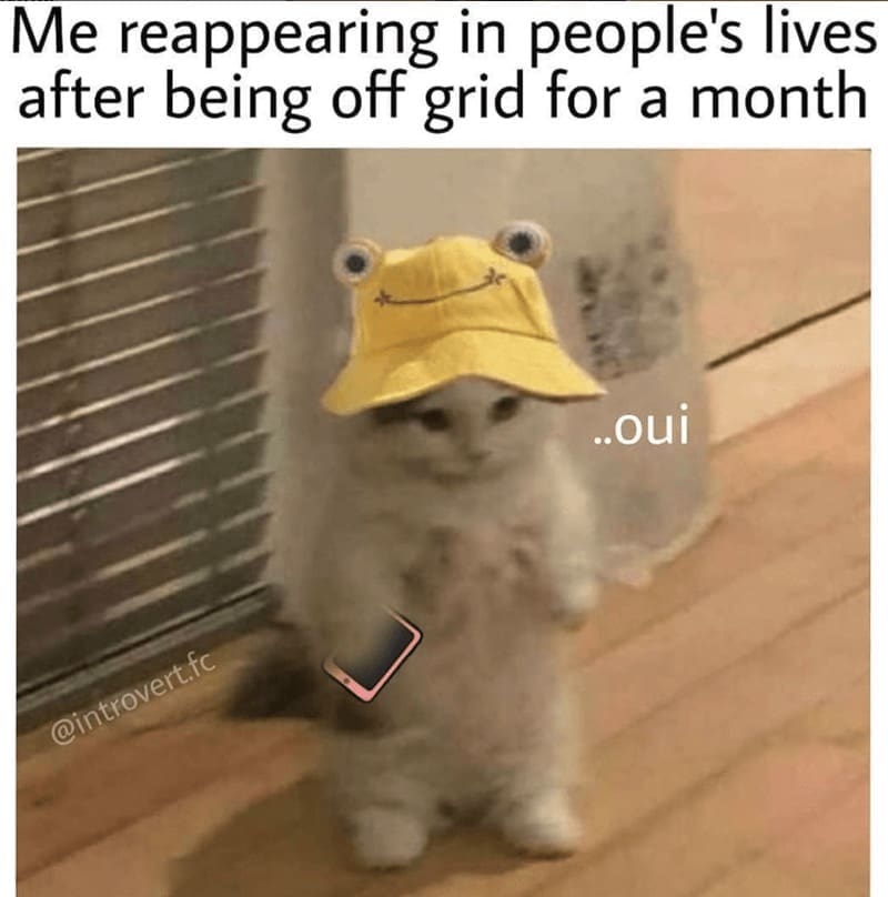 Introvert Dating Memes Me reappearing in people's lives after being off grid for a month ..oui