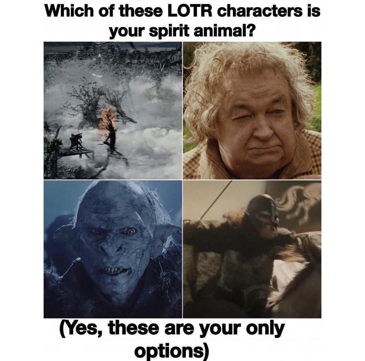 LoTR memes, Tolkien memes