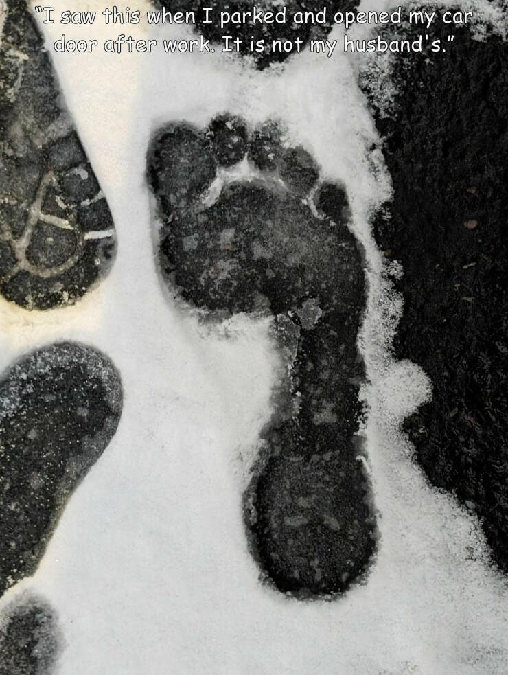 meme dump, hilarious memes