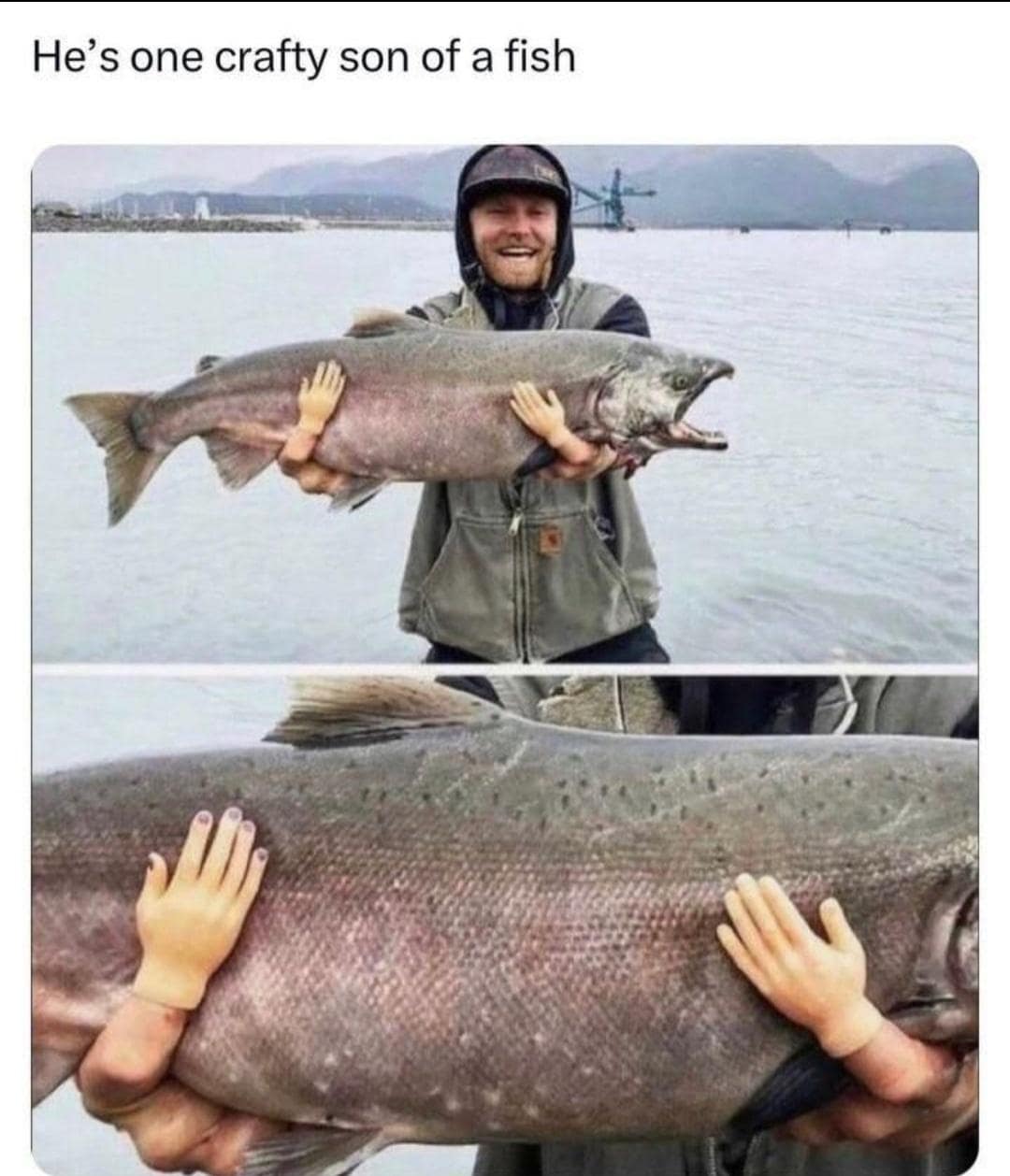 meme dump, hilarious memes