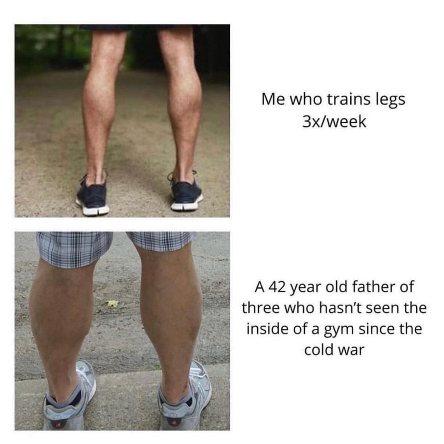 meme dump, hilarious memes