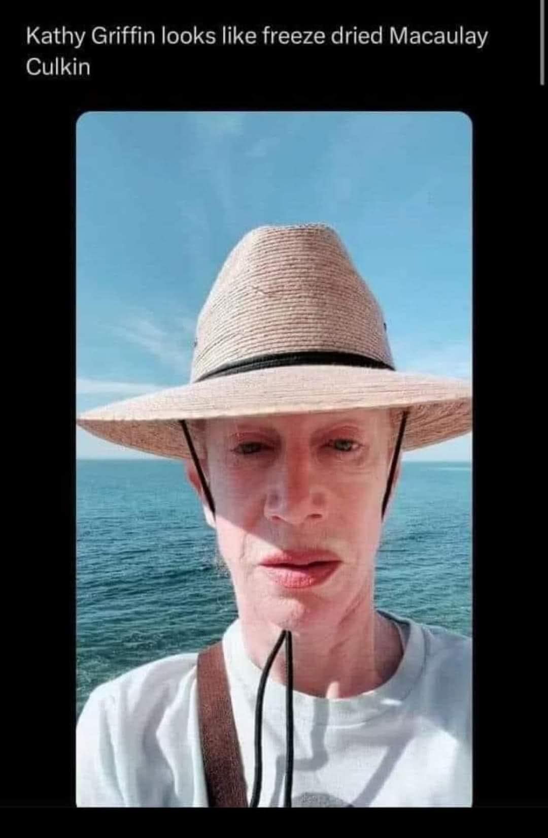 meme dump, hilarious memes