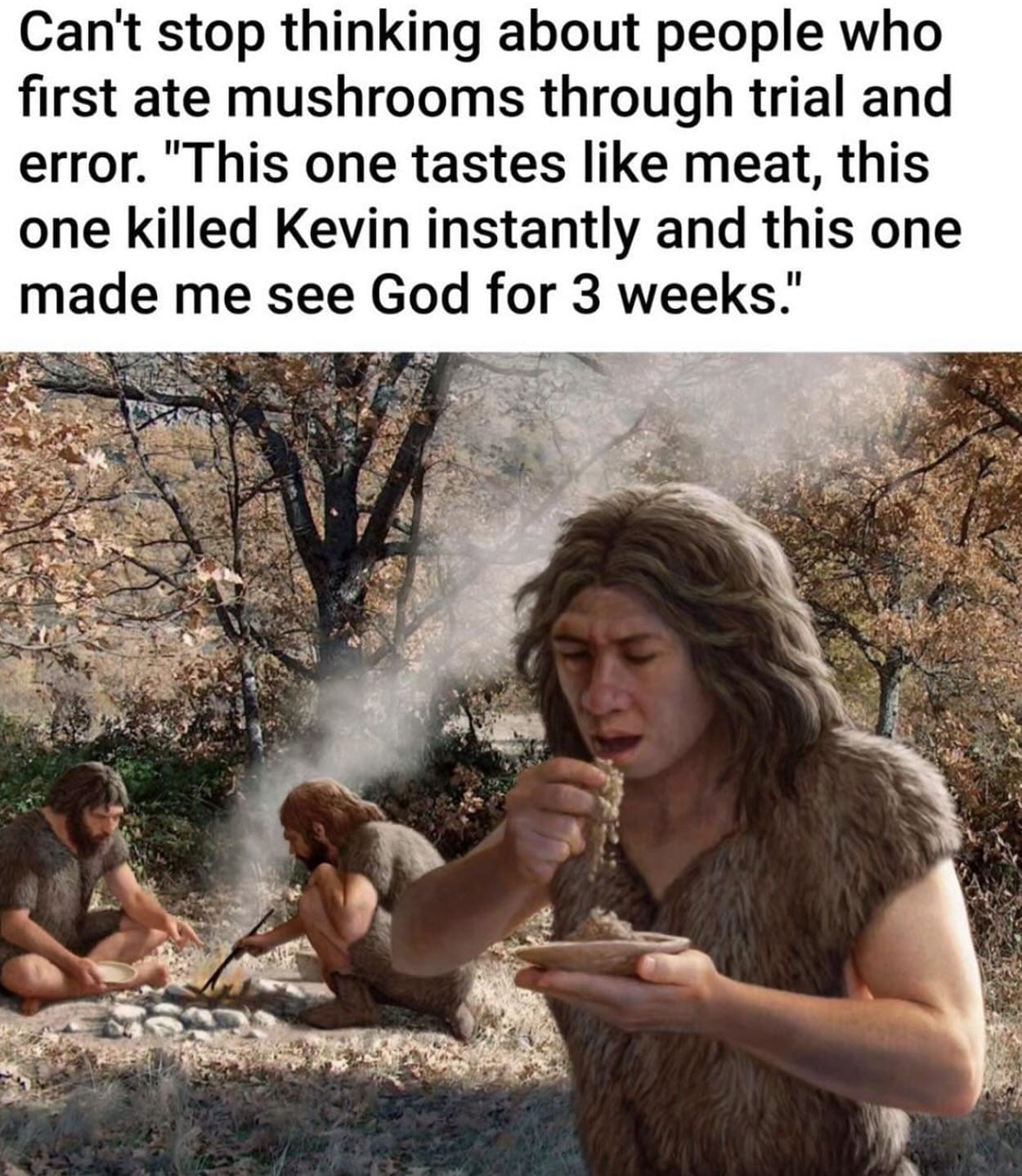 meme dump, hilarious memes