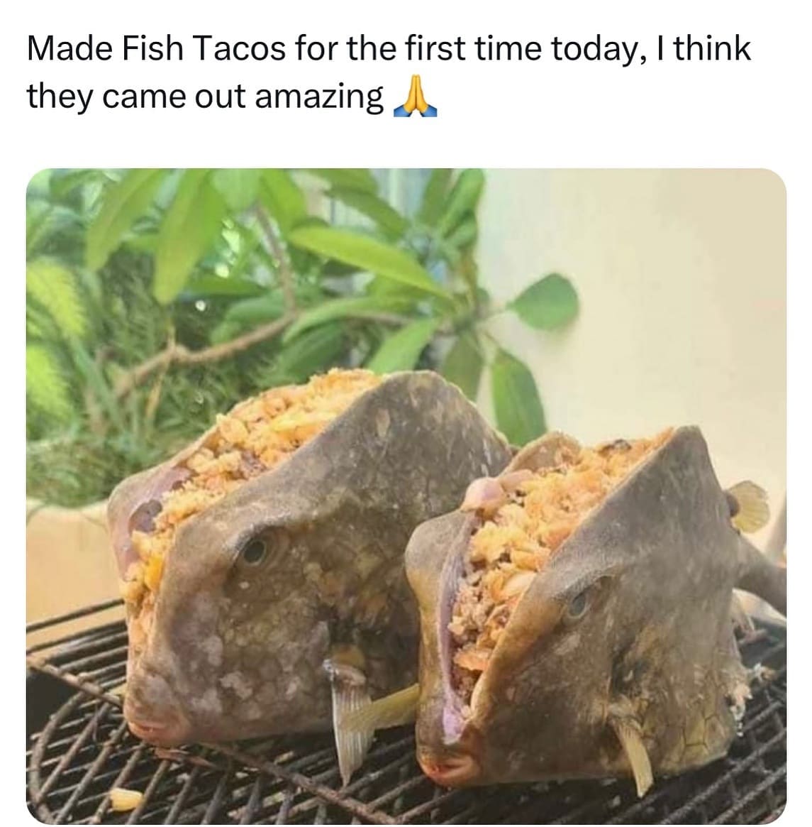 meme dump, hilarious memes