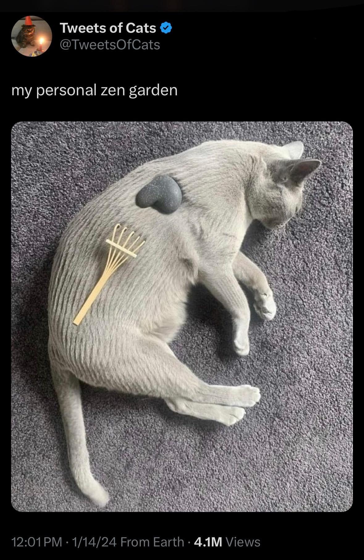 meme dump, hilarious memes