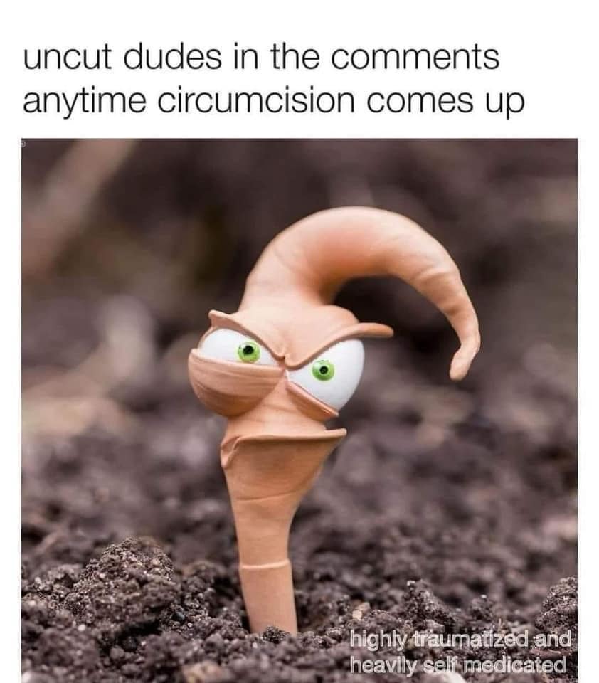 meme dump, hilarious memes