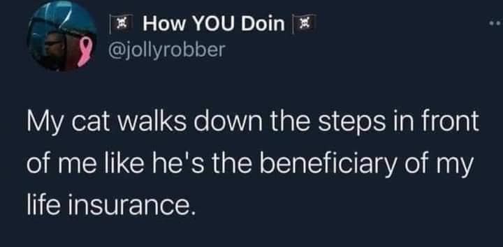 meme dump, hilarious memes