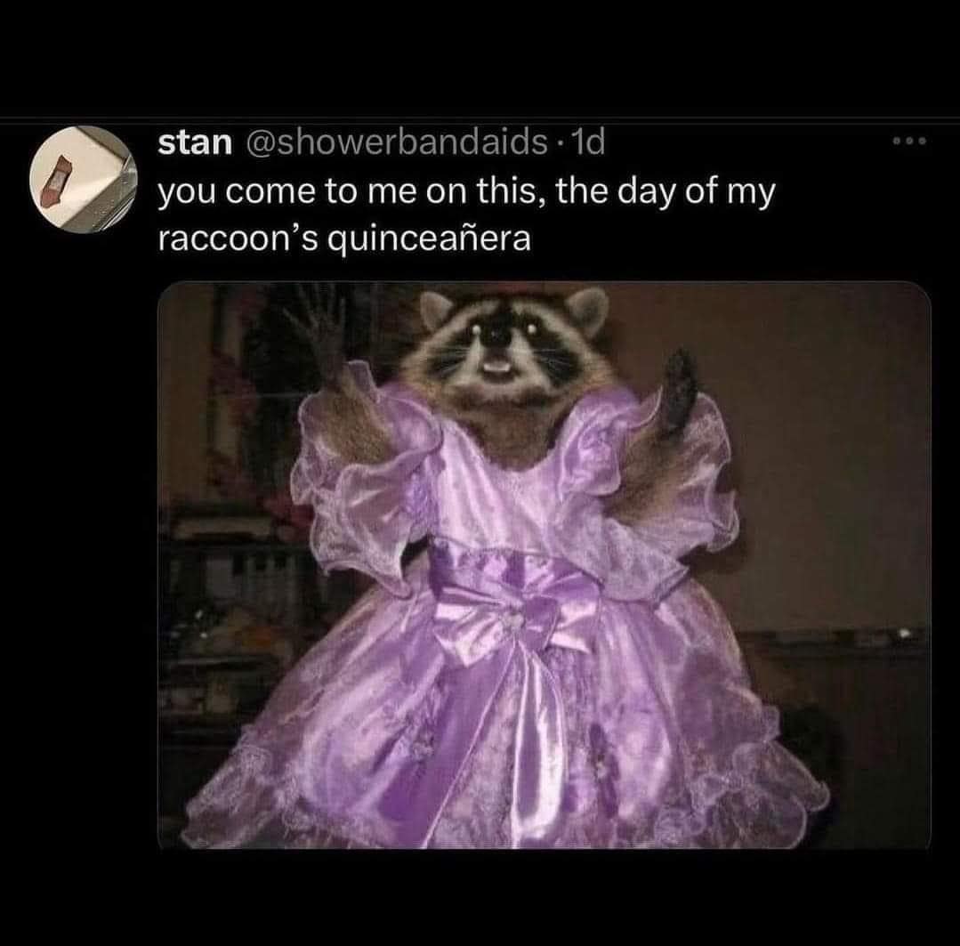 meme dump, hilarious memes