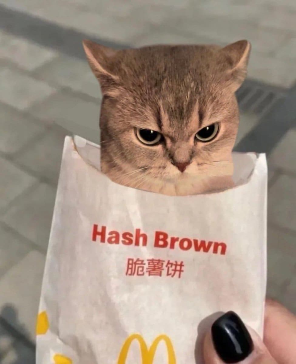 Messed up foods cat in hash brown bag