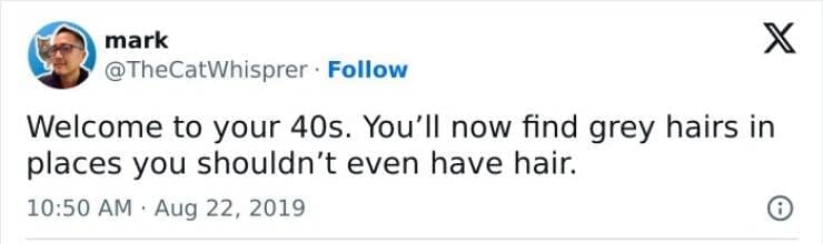 Midlife crisis memes Welcome to your 40s. You'll now find grey hairs in places you shouldn't even have hair.