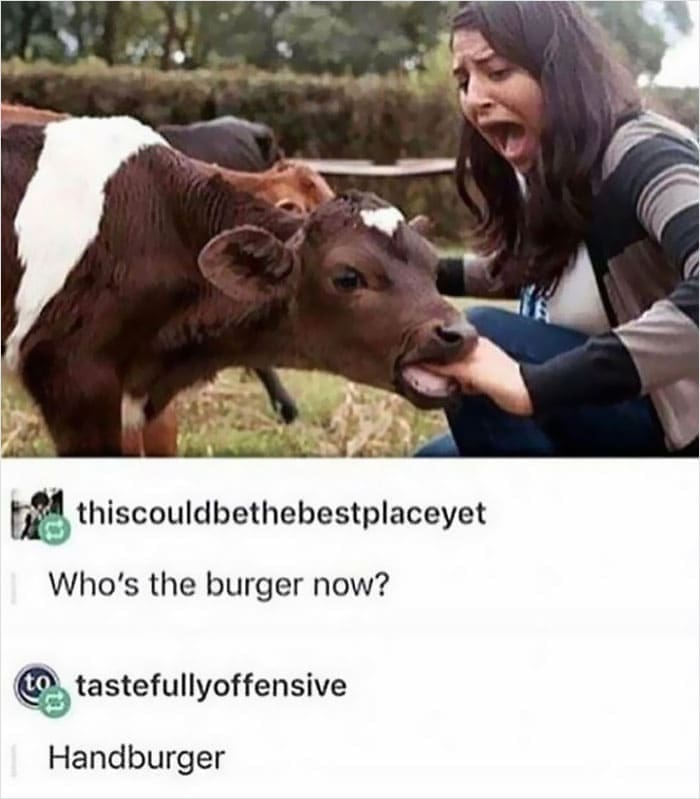 Who's the burger now? Handburger