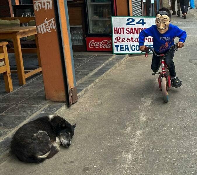 perfectly timed photos, impeccable photography moments