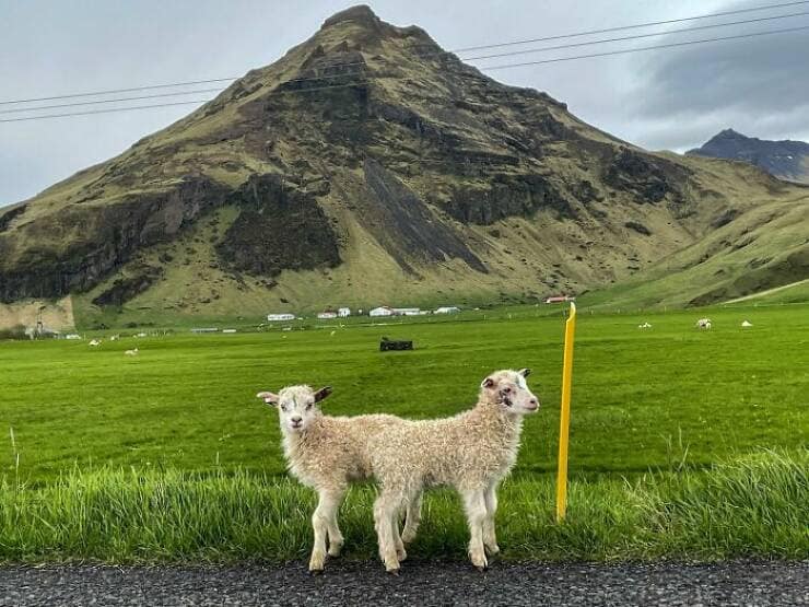 perfectly timed photos, impeccable photography moments