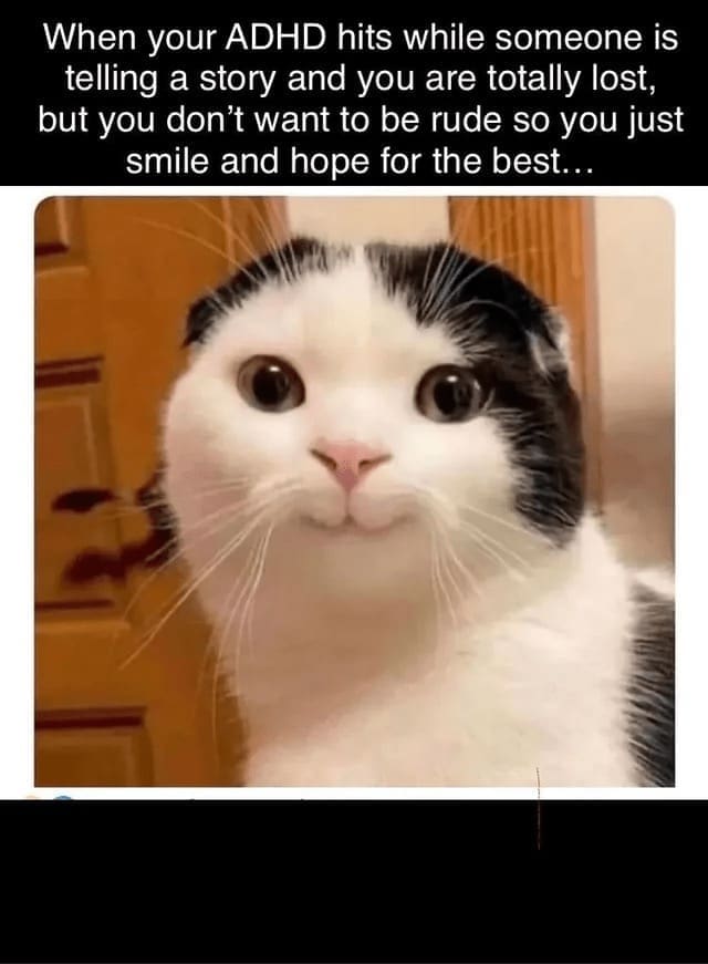 Procrastination Memes When your ADHD hits while someone is telling a story and you are totally lost, but you don't want to be rude so you just smile and hope for the best...