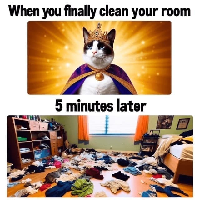 Procrastination Memes When you finally clean your room 5 minutes later