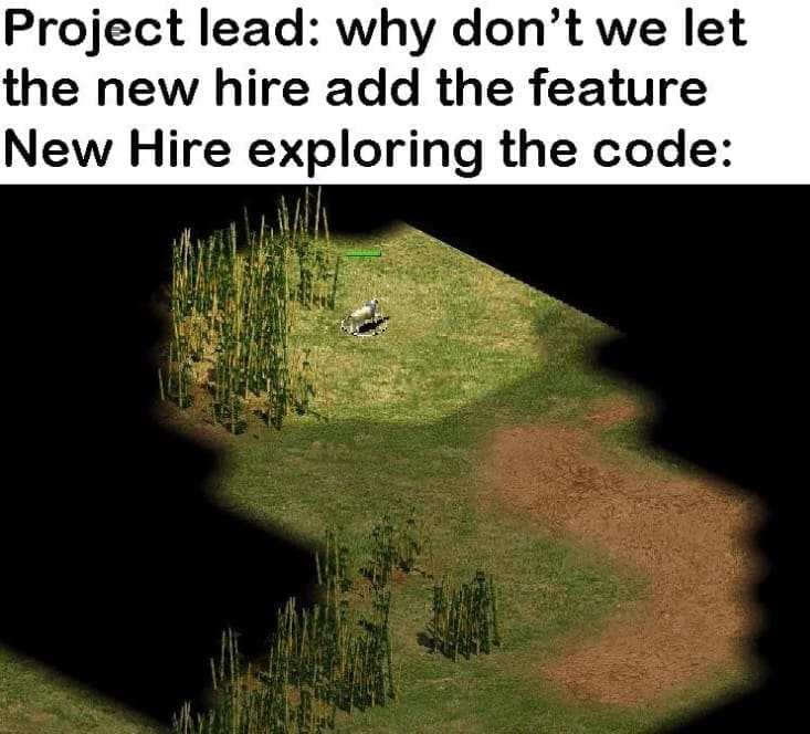 programming memes Project lead: why don't we let the new hire add the feature New Hire exploring the code: