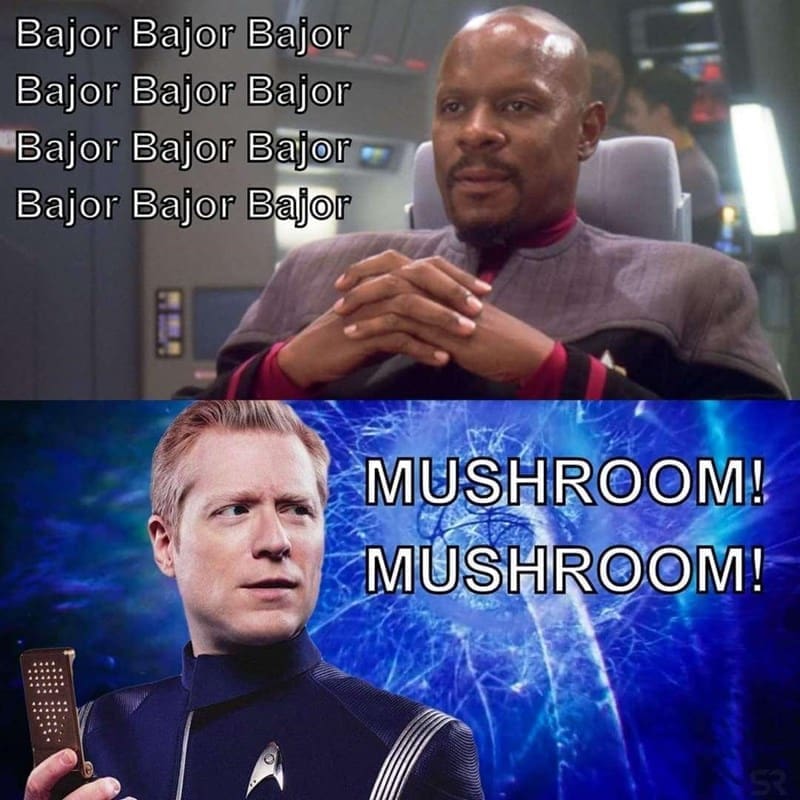 Puns Using Song Lyrics Bajor Bajor Bajor Bajor Bajor Bajor Bajor Bajor Bajor Bajor Bajor Bajor MUSHROOM! MUSHROOM!