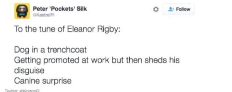 Puns Using Song Lyrics To the tune of Eleanor Rigby: Dog in a trenchcoat Getting promoted at work but then sheds his disguise Canine surprise