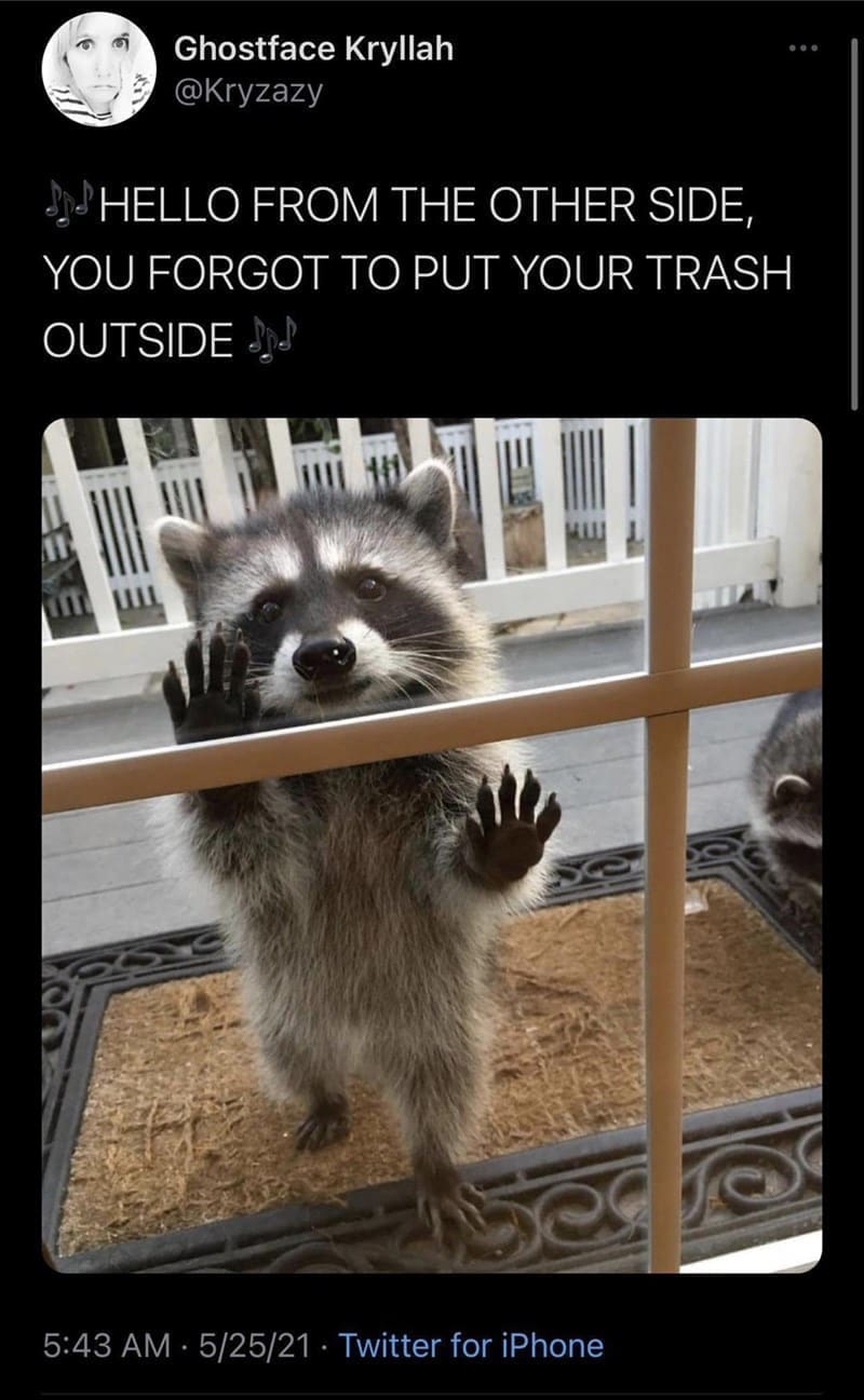 Puns Using Song Lyrics HELLO FROM THE OTHER SIDE, YOU FORGOT TO PUT YOUR TRASH OUTSIDE