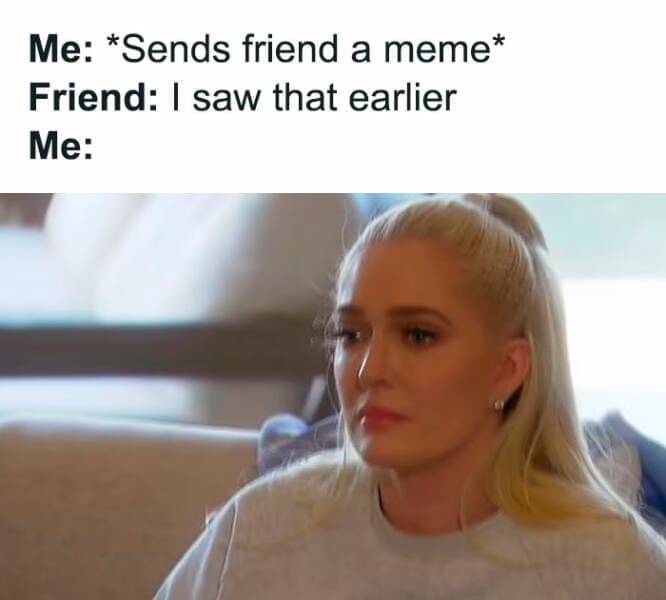 Quarter Life Crisis Memes Me: *Sends friend a meme* Friend: I saw that earlier Me: