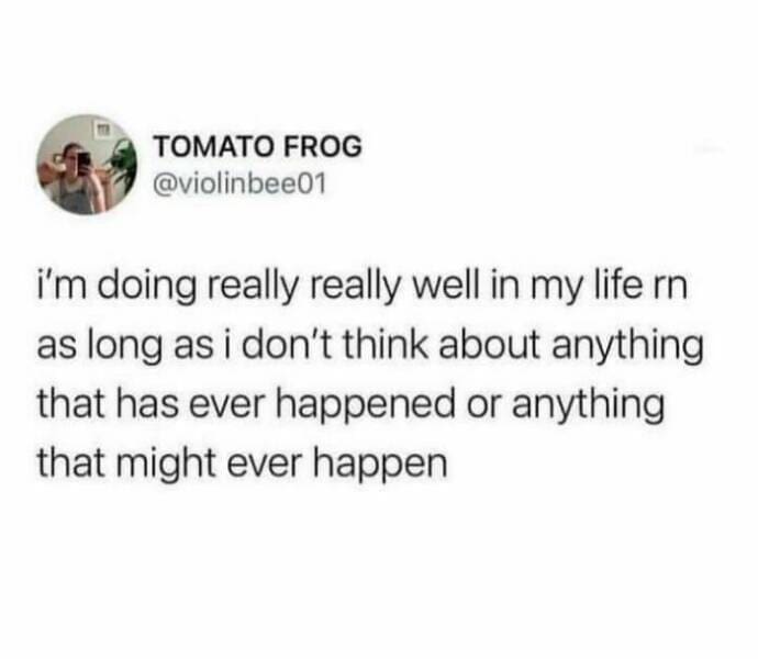 Quarter Life Crisis Memes i'm doing really really well in my life rn as long as i don't think about anything that has ever happened or anything that might ever happen