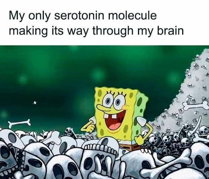Serotonin memes My only serotonin molecule making its way through my brain