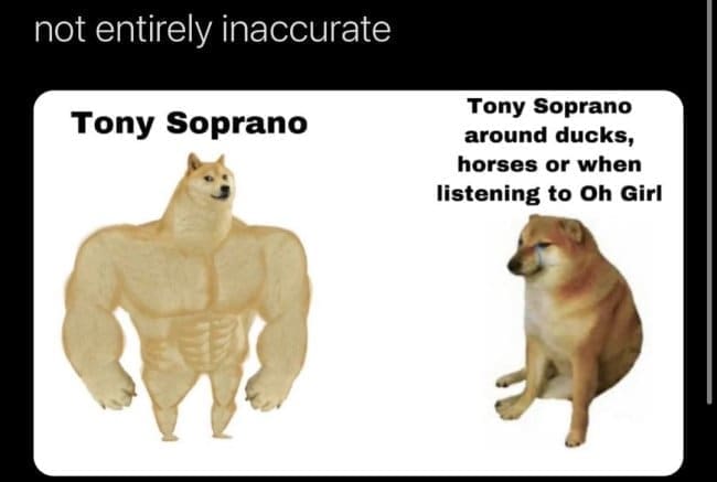 Sopranos memes not entirely inaccurate Tony Soprano Tony Soprano around ducks, horses or when listening to Oh Girl