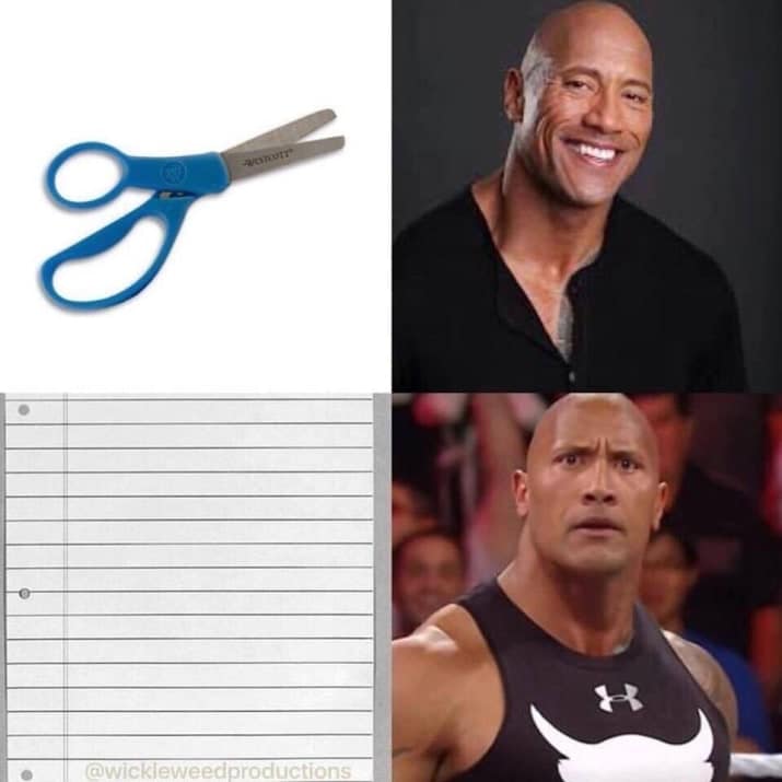 stupid memes, silly memes