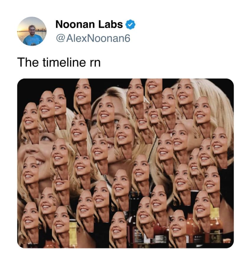 sydney sweeney hot ones memes-16-1-29-2024 - Thunder Dungeon | The