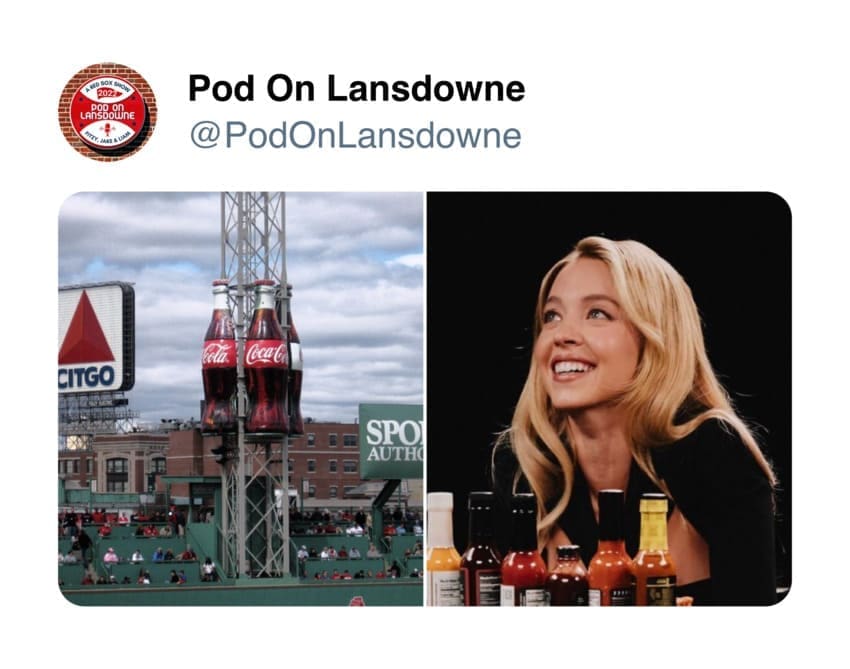 Sydney Sweeney hot ones memes 