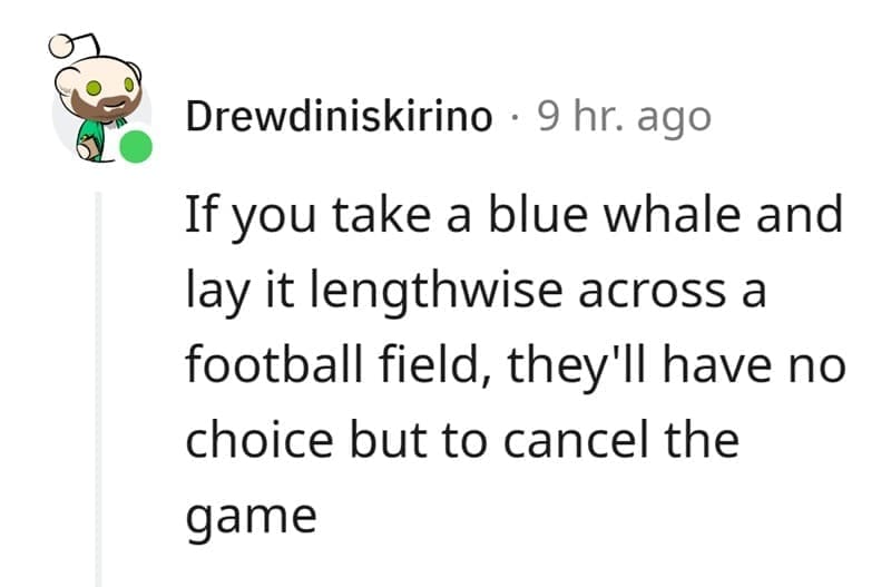 Technically True Jokes If you take a blue whale and lay it lengthwise across a football field, they'll have no choice but to cancel the game