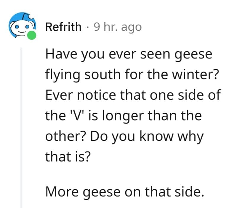 Technically True Jokes Have you ever seen geese flying south for the winter? Ever notice that one side of the 'V' is longer than the other? Do you know why that is? More geese on that side.